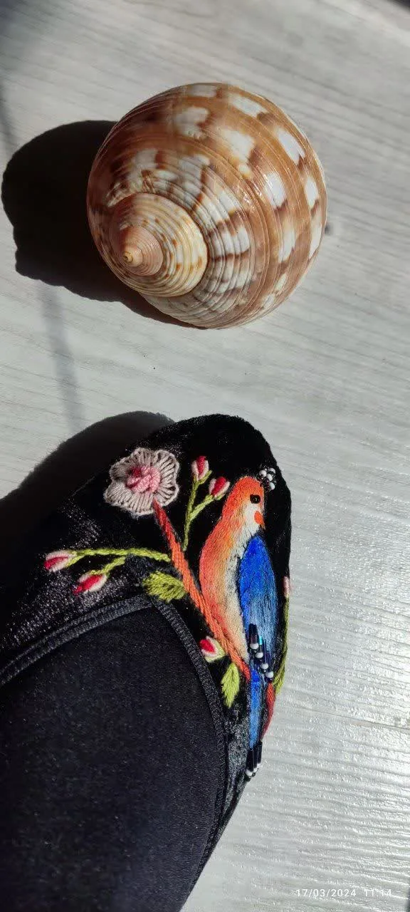 پاپوش مرغ عشق