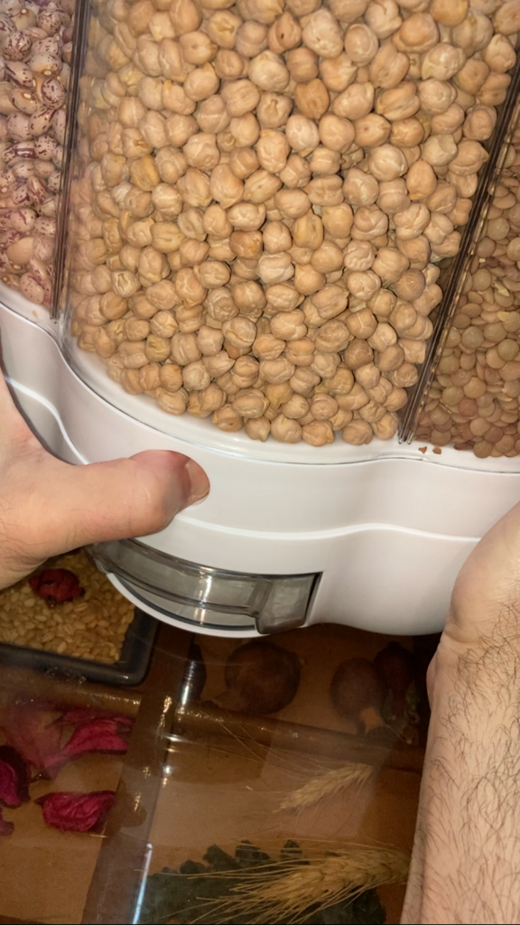 جا حبوباتی طرح گل سایز بزرگ - تصویر ۲